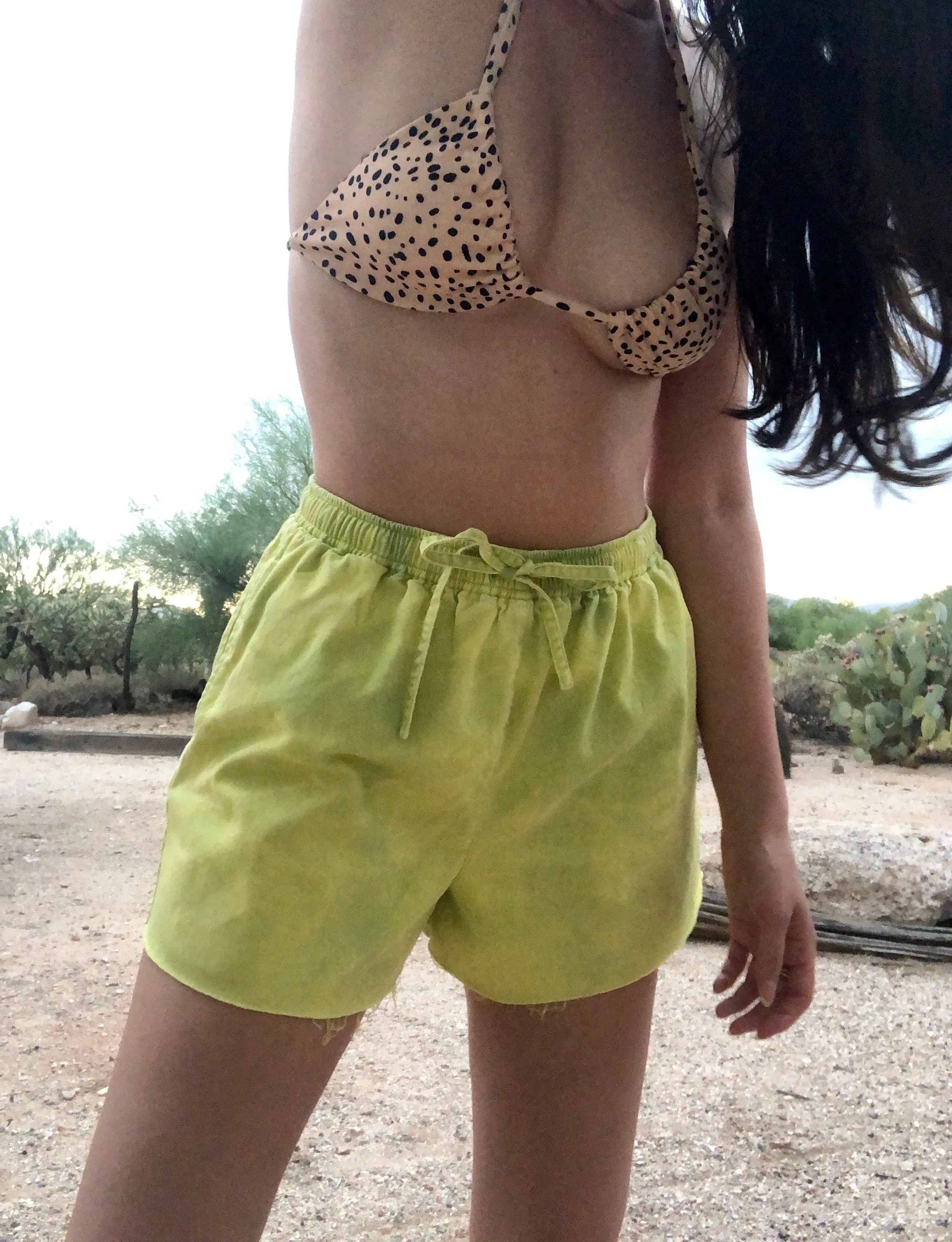 Lime Like Shorts