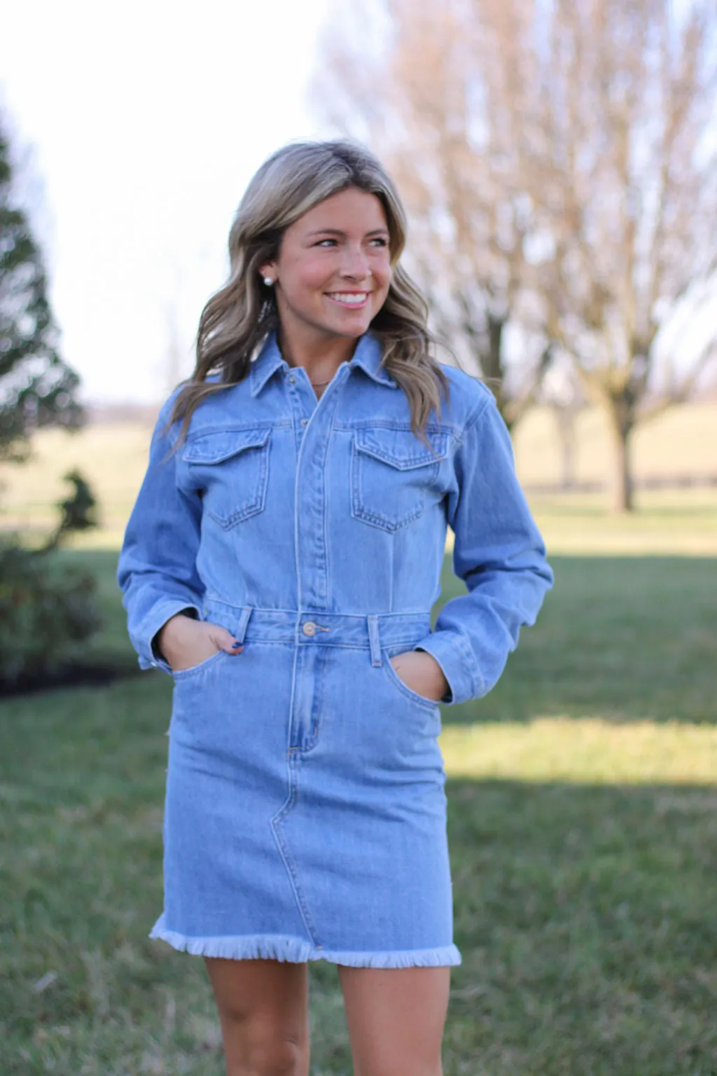 Theresa Denim Dress