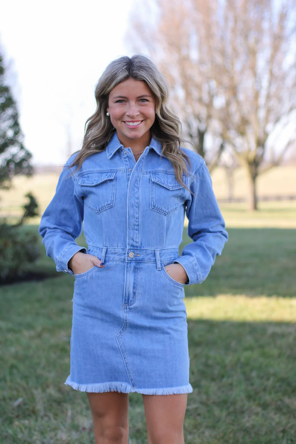 Theresa Denim Dress